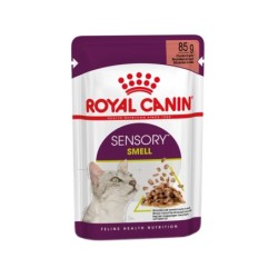 Royal Canin FHN Sensory Smell In Gravy - 12 x 85 g