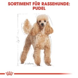 Royal Canin Poodle Adult Hundefutter - 7,5 kg