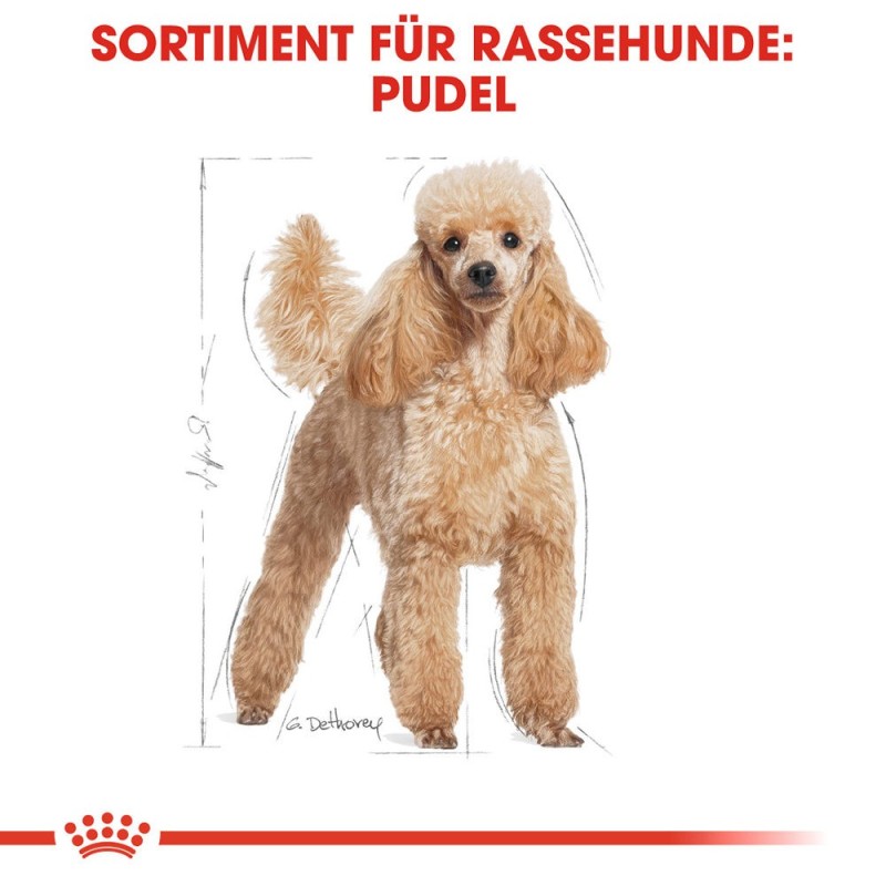 Royal Canin Poodle Adult Hundefutter - 7,5 kg