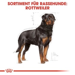 Royal Canin Rottweiler Adult Hundefutter - 12 kg