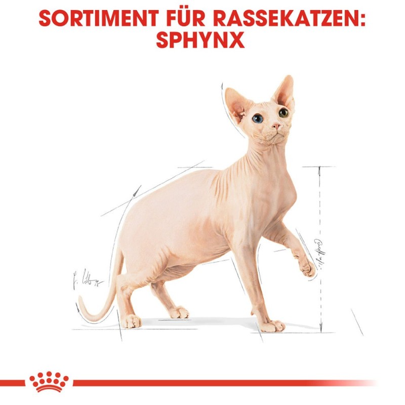 Royal Canin Sphynx Adult Katzenfutter - 2 kg