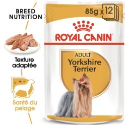 Royal Canin Yorkshire...