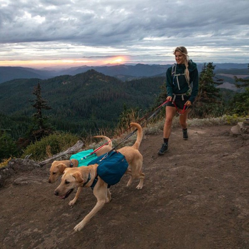 Ruffwear Front Range Day Pack - Basalt Gray - XS