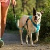 Ruffwear Hi & Light Harness -  Blue Dusk -XXXS