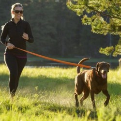 Ruffwear Roamer Leash  -...