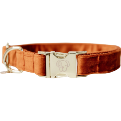 Kentucky Dogwear Hundehalsband "Velvet" orange - XS (25-38) cm