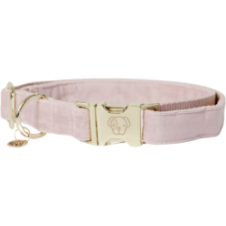 Kentucky Dogwear Hundehalsband "Velvet" soft rose - XXS (18-26) cm