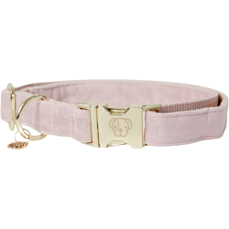 Kentucky Dogwear Hundehalsband "Velvet" soft rose - XXS (18-26) cm