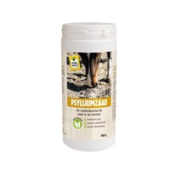 VitalStyle Psyllium-Samen - 800 g