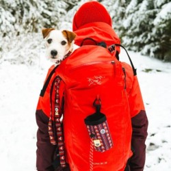 Woolly Wolf - Polar Night Leash