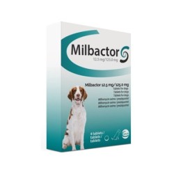 Milbactor für kleine Hunde...