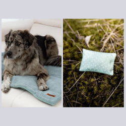 "FRÜHLING" HUNDEBUNDLE