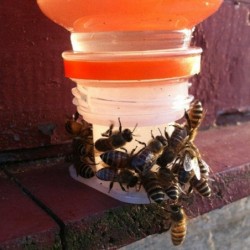 3X Bee Hives Feeder Trinkbrunnen Ausrüstung Kunststoff Bienenzucht Werkzeuge Neue Heiße