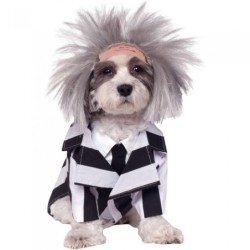 Beetlejuice Dog Costume