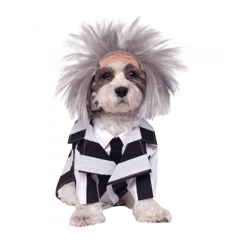 Beetlejuice Dog Costume