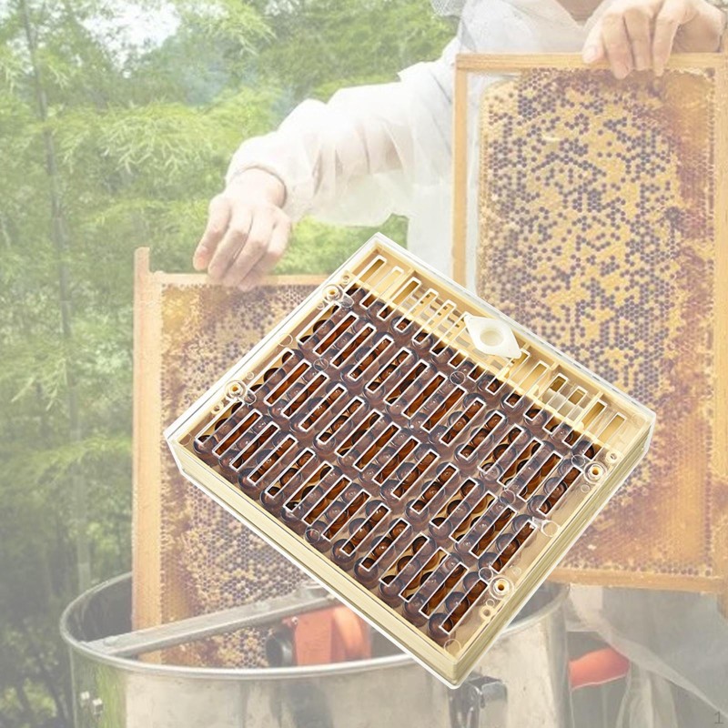 Beekeepings Aufzuchtbox, Beekeepings Bienenkönigin-Pfropfset, sichere Kultivierung, einfach zu bedienen