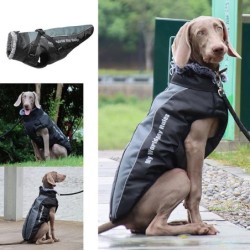 Mittelgroße Hundejacke,...