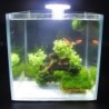 USB-Aquarium-LED-Fächerförmige Klemmlampe mit 8 hochwertigen SMD5730-LEDs, weißes Aquariumlicht