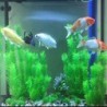 Künstliche Aquariumpflanze Aquarium Dekoration Unterwasserpflanzen Simulation Wassergras für Aquarium Aquarium Dekor Zubehör