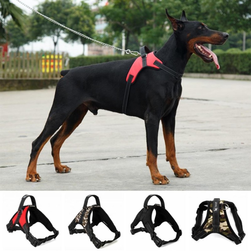 Haustierprodukte für große Hundegeschirre, leuchtendes LED-Halsband, Welpenleine, Haustiere