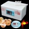 Home Digitaler Wasserbett-Inkubator für Hühner, Enten, Gänse, Geflügeleier