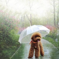 Haustier-Regenschirm, Teddy-Welpen-Regenschirm, Hund, Schnee, Regen