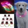 Neues LED-Hundehalsband-Licht, wiederaufladbar, leuchtende Hundehalsbänder, leuchtende Hundehalsbänder für Haustiere, leuchte