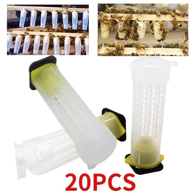 20PCS Königin Käfig Aufzucht Abdeckung Catcher Königin Kunststoff Zellen Bienen Box Käfige Bienen Werkzeug Abelhas Imkerei Au