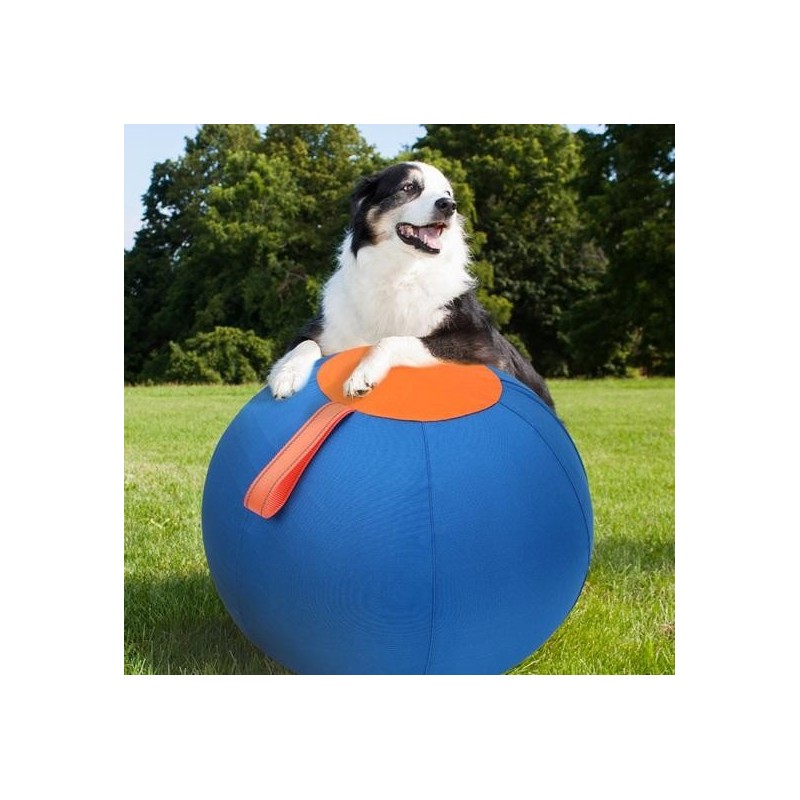 Herding Dog Balls Horse Ball Toy Thickened Anti-Burst Ball Scratch-Resistant Training Ball Stimulates Senses