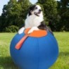 Herding Dog Balls Horse Ball Toy Thickened Anti-Burst Ball Scratch-Resistant Training Ball Stimulates Senses