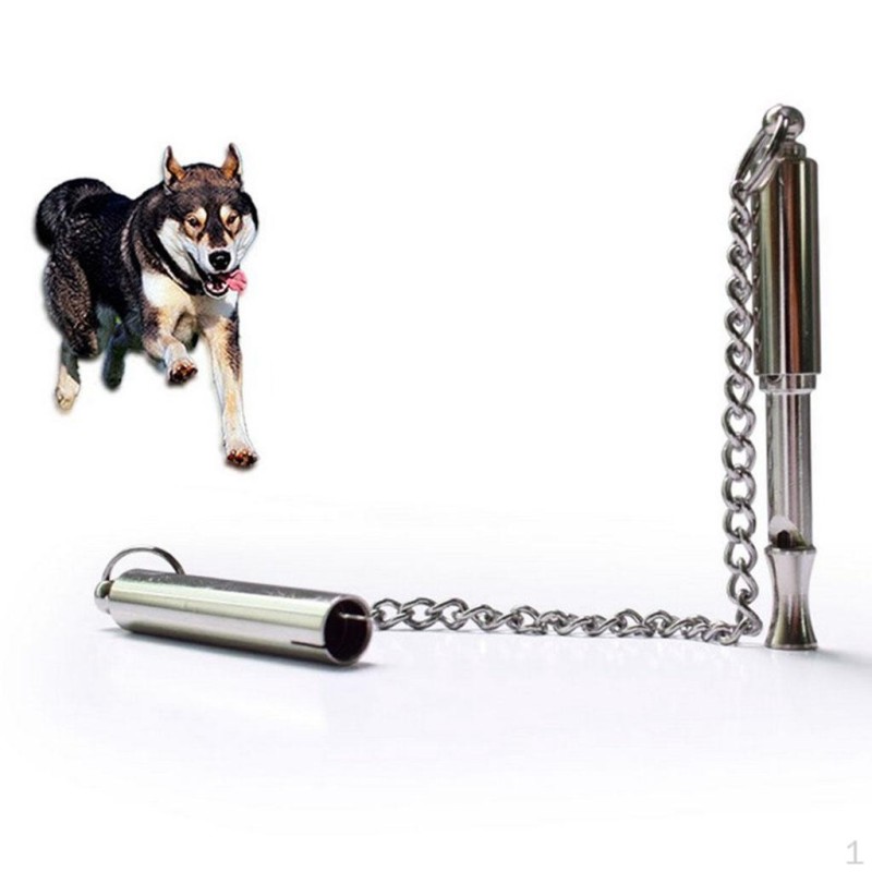 Hundetraining mit Edelstahl – S 7x0,7cm