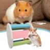 Hamster Spielzeug DIY Übung Training Regenbogen Rennmäuse Ratten Chinchillas Glocke Roller Hamster Käfig Zubehör