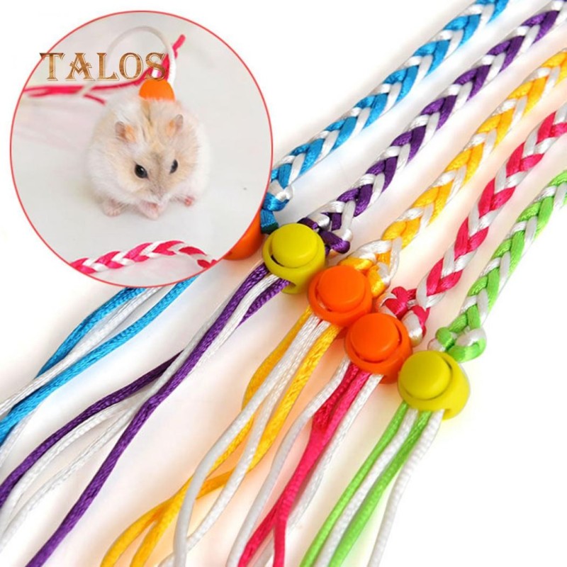 THG Kleines Haustier-Hamster-Kaninchen, verstellbares Zugseil, Laufhalsband, Leine