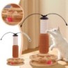 Solid Wood Turntable Cat Toy Scratching Board Cat Supplies