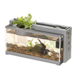 Mini-Aquarium,...