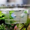 Aquarium Guppy Doppelzucht Züchter Aufzucht Trap Box Brüterei