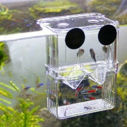 Aquarium Fisch Reproduktion mit Saugnapf Zucht Box Inkubator Brüterei Aquarium Zubehör