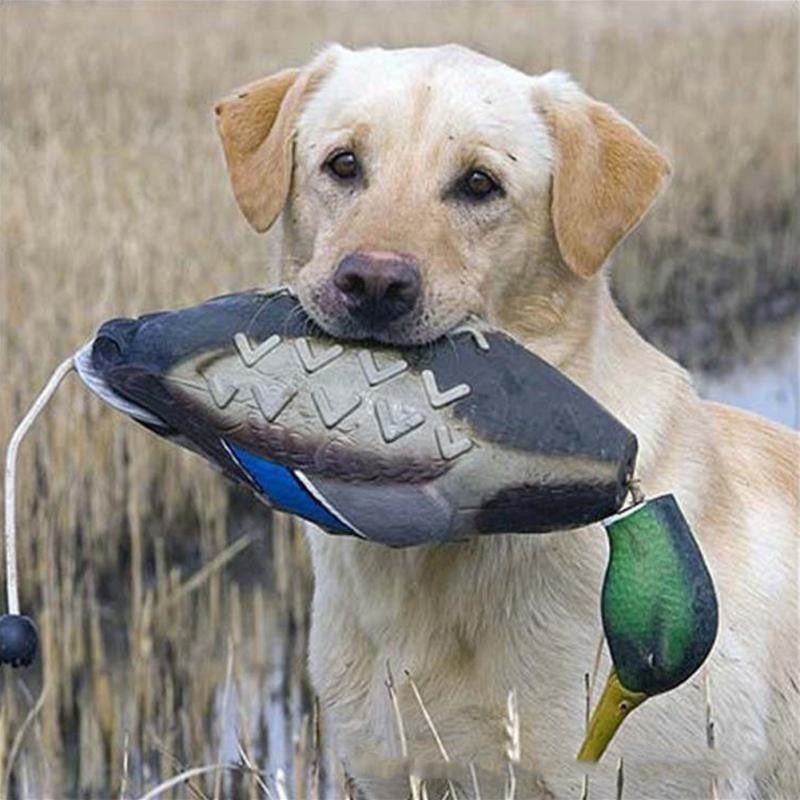 Imitiert totes Enten-Stoßstangenspielzeug zum Trainieren von Welpen oder Jagdhunden und lehrt das Apportieren von Stockenten-