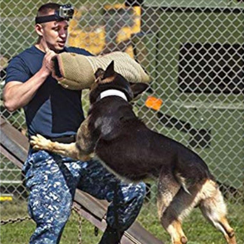 Verdicken Sie professionelles Hundegebiss-Trainingsarm-Ärmelschutz, das beißendes Haustier interaktiv ist