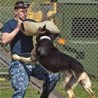 Verdicken Sie professionelles Hundegebiss-Trainingsarm-Ärmelschutz, das beißendes Haustier interaktiv ist