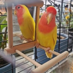 Bird Mirror With Perch Bird Perch Mirror Toy Stand Bird Toy Cockatiels Cage