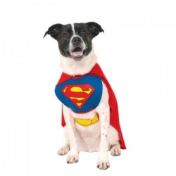 Superman Dog Costume