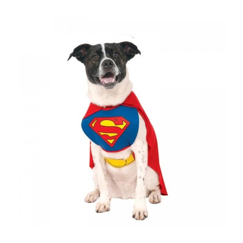 Superman Dog Costume