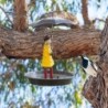 Vogelhäuschen zum Aufhängen aus Metall, leicht, für Mädchen in Regenschirmform, Kolibri-Futtertablett für Garten, Hof, Dekora