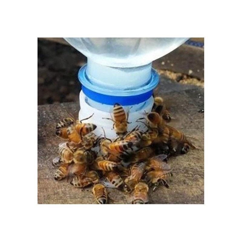 10Pcs Wasser Feeder Nadel Loch Typ Anti Ertrinken Kunststoff Effiziente Bee Trinken Ausrüstung Trinker Bienenzucht Werkzeug