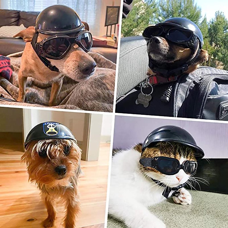 Sagit Haustier, Helm, Motorrad, Hund, Helm, Hund, Helm, für, Fahrrad, Katze, Hut, Reiten, Welpe, Helm