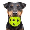 Happypet Laughing Treat Ball - Treat Dispensing Ball