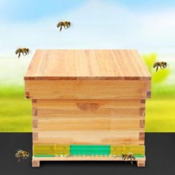 10Pcs Beehive Werkzeug...