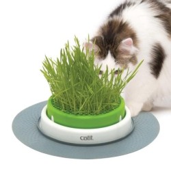 Catit Senses 2.0 Keimgerät mit Katzenminze – Ref. 43161W