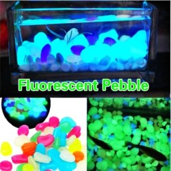 10/50/100PCS Glow In Dark...